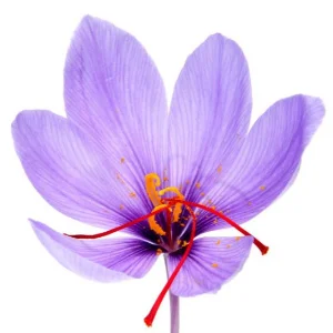 Unikta Organic Saffron